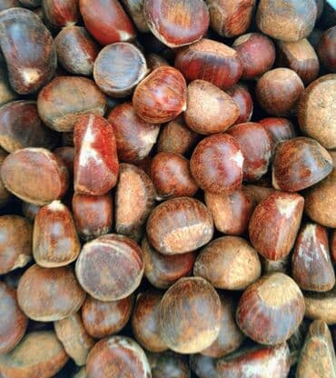 Super şabalıd 🌰
Çatdırılma minimum 2 kg 🚚
📞 Əlaqə: Vatsap lalafo.az -da Super şabalıd 🌰
Çatdırılma minimum 2 kg 🚚
📞 Əlaqə: Vatsap