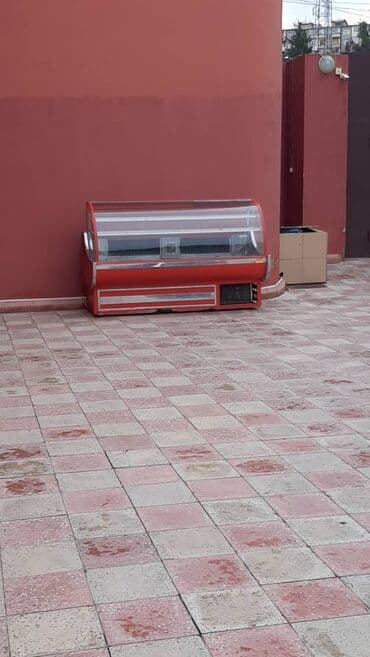 Yaxwi vezyetdedi soyudur gewey lalafo.az -da Yaxwi vezyetdedi soyudur gewey