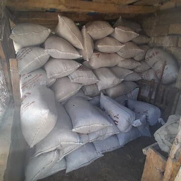 Salam quru peyin var bir kisə 3 manatdir Ünvan buzovna qəsəbəsi lalafo.az -da Salam quru peyin var bir kisə 3 manatdir Ünvan buzovna qəsəbəsi