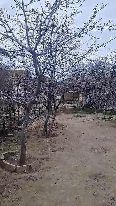 Sumqayıt, 250 kv. m, 1 otaqlı, Hovuzsuz lalafo.az -da Sumqayıt, 250 kv. m, 1 otaqlı, Hovuzsuz