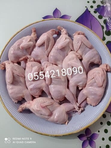 Xaiş edirəm diqqətli oxuyun Bi̇ldi̇rçi̇n təbii şəraitdə saxlanılan lalafo.az -da Xaiş edirəm diqqətli oxuyun Bi̇ldi̇rçi̇n təbii şəraitdə saxlanılan