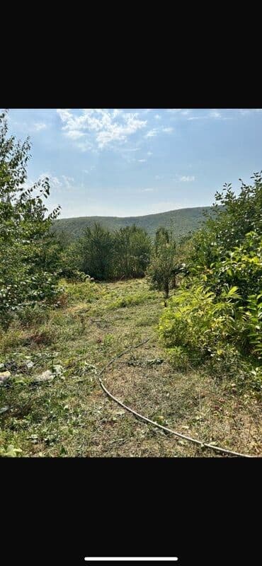 11 sot lalafo.az -da 11 sot