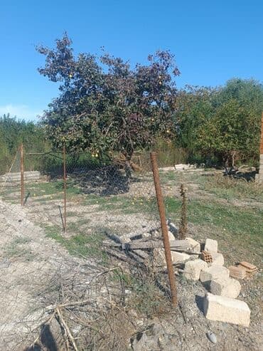 9 sot, Tikinti, Mülkiyyətçi, Kupça (Çıxarış) lalafo.az -da — 3 9 sot, Tikinti, Mülkiyyətçi, Kupça (Çıxarış) — 3