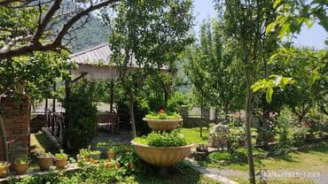 Гаражи: 160 м², 5 комнат, Комби, Газ, Электричество at lalafo.az — 3 Гаражи: 160 м², 5 комнат, Комби, Газ, Электричество — 3