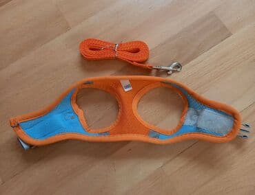 Светоотражающая шлейка для кошек и собак с поводком для прогулки lalafo.az -da Светоотражающая шлейка для кошек и собак с поводком для прогулки