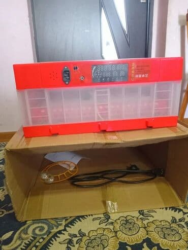 50 yumurta, Çin, Tam avtomat lalafo.az -da 50 yumurta, Çin, Tam avtomat