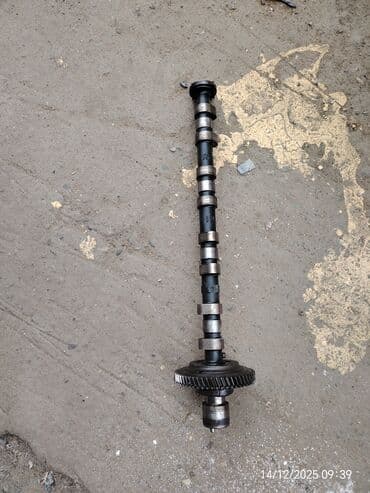 Məhsul: Daxiliyanma mühərriki üçün eksantrik val (camshaft) komplekti lalafo.az -da Məhsul: Daxiliyanma mühərriki üçün eksantrik val (camshaft) komplekti