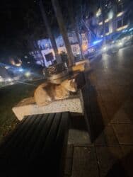 Медицина, фармацевтика: Домработница, 21 лет, До 1 года опыта at lalafo.az — 1 Медицина, фармацевтика: Домработница, 21 лет, До 1 года опыта — 1