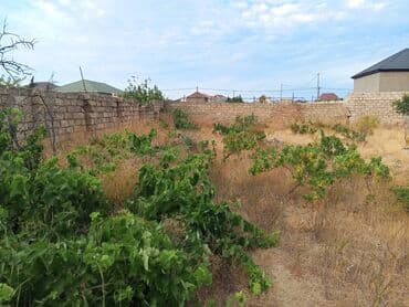 9 sot, Tikinti, Mülkiyyətçi, Kupça (Çıxarış) lalafo.az -da 9 sot, Tikinti, Mülkiyyətçi, Kupça (Çıxarış)