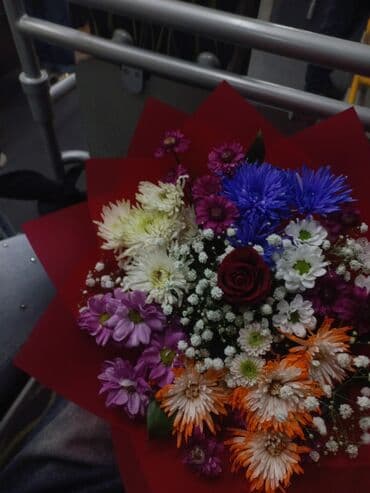 Uşağa baxıram yaşdı qadına baxıram.Sumqayıt Novxanı ərazisi lalafo.az -da Uşağa baxıram yaşdı qadına baxıram.Sumqayıt Novxanı ərazisi