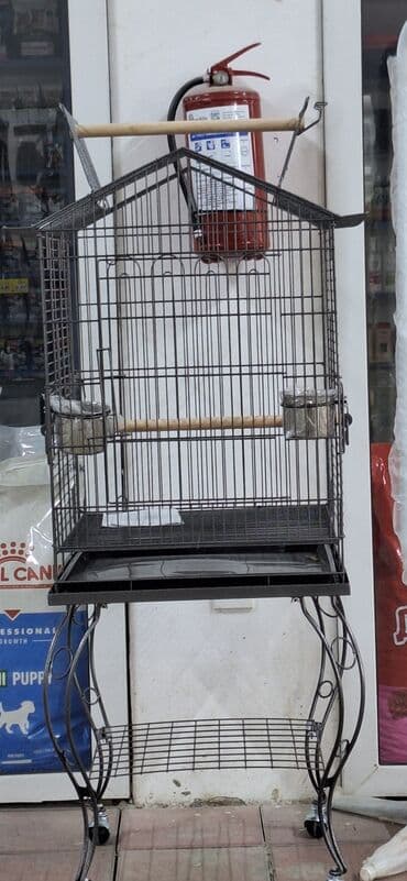 Metall quş qəfəsi – dekorativ dayaq və təkərli baza ilə Böyük quşlar lalafo.az -da Metall quş qəfəsi – dekorativ dayaq və təkərli baza ilə Böyük quşlar