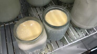 Tam təbii qaymaq və nehrə(kərə ) yagı,təmiz məhsul istiyən əlaqə lalafo.az -da Tam təbii qaymaq və nehrə(kərə ) yagı,təmiz məhsul istiyən əlaqə