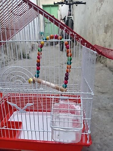 Endirim olunacaq) Quş qəfəsi – dekorativ “dam” formalı model - lalafo.az -da Endirim olunacaq) Quş qəfəsi – dekorativ “dam” formalı model -