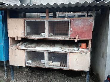 Satıram kredit mümkündür dəyişmək olar lalafo.az -da Satıram kredit mümkündür dəyişmək olar