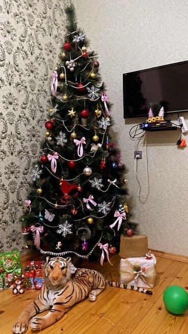 Yolka, hund 2m. Kecen il alinib. Ustundeki oyuncaqlarla birlikde 120 lalafo.az -da Yolka, hund 2m. Kecen il alinib. Ustundeki oyuncaqlarla birlikde 120