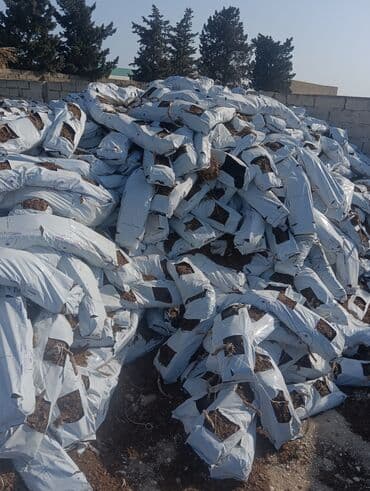 Уличные растения: Torf gubresi butun gubreler var
catrlma sayina gorə at lalafo.az — 18 Уличные растения: Torf gubresi butun gubreler var
catrlma sayina gorə — 18