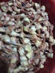 It pişik ucun sumukler 30 qəpiyə 100 kloya catdirilma var lalafo.az -da It pişik ucun sumukler 30 qəpiyə 100 kloya catdirilma var