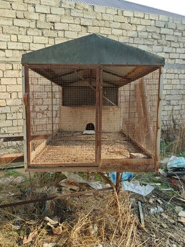 Metall karkaslı, torlama panellərlə örtülü açıq hava qəfəsi/saxlama lalafo.az -da Metall karkaslı, torlama panellərlə örtülü açıq hava qəfəsi/saxlama