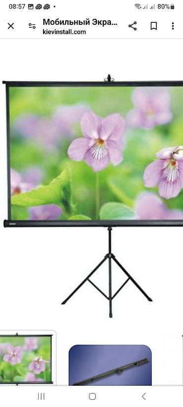 Проекционный экран Tripod Screen.(180см ×180 см.) lalafo.az -da Проекционный экран Tripod Screen.(180см ×180 см.)