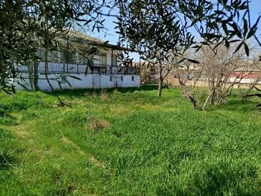 8 sot, Tikinti, Maklerlər narahat etməsin, Kupça (Çıxarış), Müqavilə lalafo.az -da 8 sot, Tikinti, Maklerlər narahat etməsin, Kupça (Çıxarış), Müqavilə