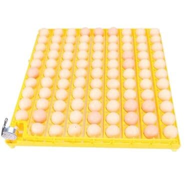 98 yumurtalıq latok Matorlu latok Sumqayıt şəhəri 10 cu mkr Xəlifə lalafo.az -da 98 yumurtalıq latok Matorlu latok Sumqayıt şəhəri 10 cu mkr Xəlifə