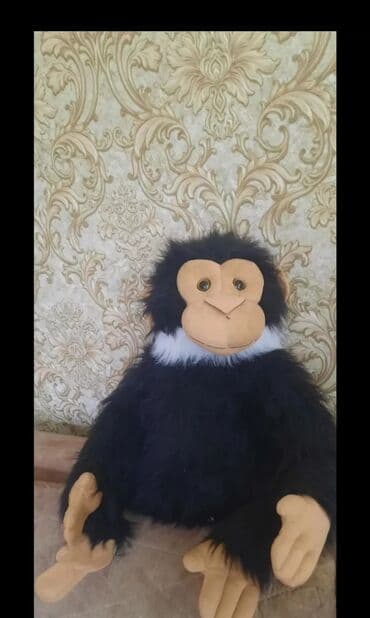 Oyuncaq meymun. Yaxşı Vəziyyətdədi. Hündürlüyü 60 sm. Qiyməti 20 manat lalafo.az -da Oyuncaq meymun. Yaxşı Vəziyyətdədi. Hündürlüyü 60 sm. Qiyməti 20 manat