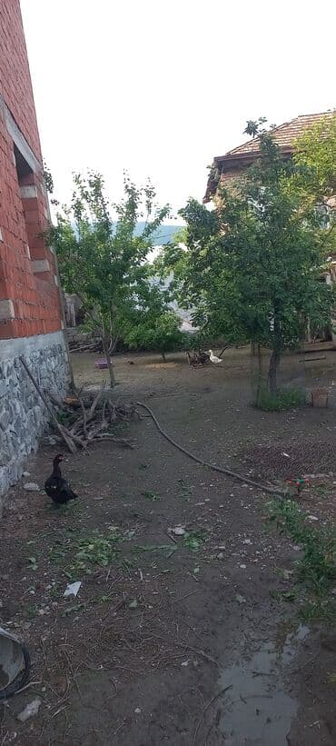 2 otaqlı, 4 kv. m, Kredit yoxdur, Orta təmir lalafo.az -da — 10 2 otaqlı, 4 kv. m, Kredit yoxdur, Orta təmir — 10