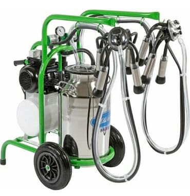 ПО для бизнеса: Двойной бидон, Турция, Нержавеющий бидон at lalafo.az — 7 ПО для бизнеса: Двойной бидон, Турция, Нержавеющий бидон — 7