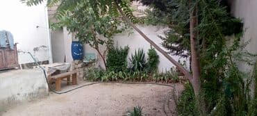 Гаражи: Wuvelanda baglar massivi,denize,aftobus dayanacaqina,mir movsum aga at lalafo.az — 2 Гаражи: Wuvelanda baglar massivi,denize,aftobus dayanacaqina,mir movsum aga — 2