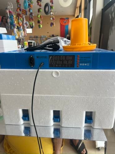 Məhsul: Rəqəmsal İnkubator dəsti Təsvir: - “EXPERT” idarəetmə lalafo.az -da Məhsul: Rəqəmsal İnkubator dəsti Təsvir: - “EXPERT” idarəetmə