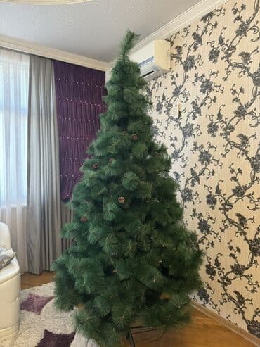 Məhsul: Süni şam ağacı Təsvir: - Təbii görünüşlü, sıx və uzun iynəli lalafo.az -da Məhsul: Süni şam ağacı Təsvir: - Təbii görünüşlü, sıx və uzun iynəli