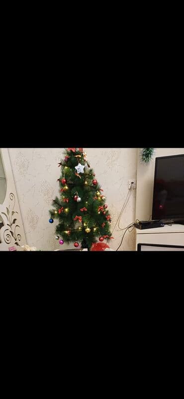 Şam agaci yenidir. 1.30 yenidir cuzi endirim.olunacaq lalafo.az -da Şam agaci yenidir. 1.30 yenidir cuzi endirim.olunacaq