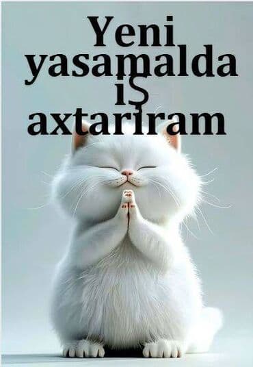 Yeni yasmalda iş axtarıram. Yaş 34. Işə ehtiyyacım var. Xahis edirem lalafo.az -da Yeni yasmalda iş axtarıram. Yaş 34. Işə ehtiyyacım var. Xahis edirem