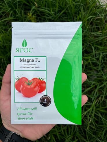 Torflar viollar,Toxumlar,torpaq,peyin,gul 20 litrlik. torf balaken lalafo.az -da Torflar viollar,Toxumlar,torpaq,peyin,gul 20 litrlik. torf balaken