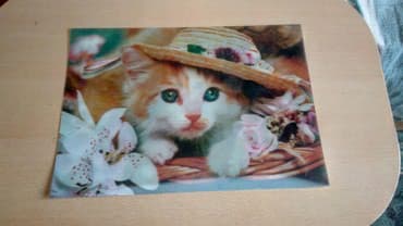 3 d resm- 5 azn(ededi) lalafo.az -da 3 d resm- 5 azn(ededi)