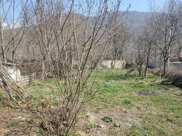 Реечные панели: 10 соток, Для бизнеса, Возможен обмен, Купчая at lalafo.az — 9 Реечные панели: 10 соток, Для бизнеса, Возможен обмен, Купчая — 9