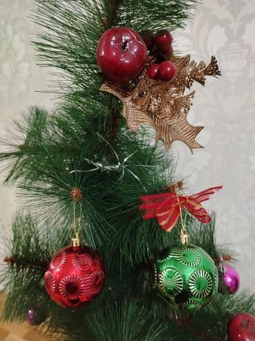 Yolka. Normalda bu qədər seyrək deyil
Hünd. 1.22sm. Sumqayıt lalafo.az -da Yolka. Normalda bu qədər seyrək deyil
Hünd. 1.22sm. Sumqayıt