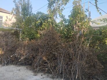 Hamısı bir yerdə 200azn lalafo.az -da Hamısı bir yerdə 200azn