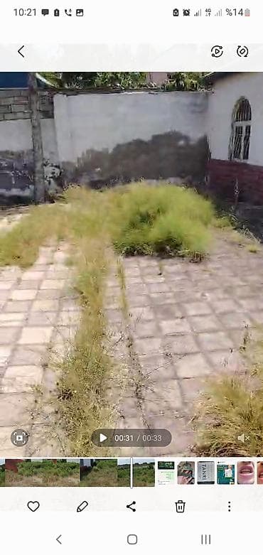 Otbiçən İşlənmiş, Pulsuz çatdırılma lalafo.az -da Otbiçən İşlənmiş, Pulsuz çatdırılma