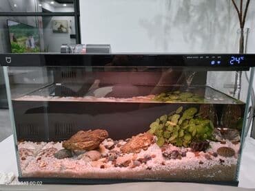 Xiaomi Ağıllı (Smart) akvarium - Şüşə korpuslu, minimal dizaynlı lalafo.az -da Xiaomi Ağıllı (Smart) akvarium - Şüşə korpuslu, minimal dizaynlı