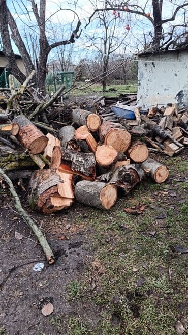 Yanacaq odun – müxtəlif ölçülü doğranmış kötüklər və budaqlar Məhsul lalafo.az -da Yanacaq odun – müxtəlif ölçülü doğranmış kötüklər və budaqlar Məhsul