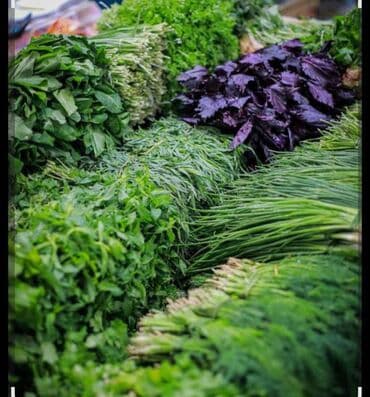 Goyertiler 0.10 qepiy optovoy satisidi lalafo.az -da Goyertiler 0.10 qepiy optovoy satisidi