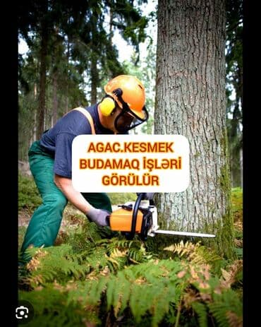 Xidmət: Ağac kəsmə və budama - Həyətyanı sahələrdə, bağlarda, meşə lalafo.az -da Xidmət: Ağac kəsmə və budama - Həyətyanı sahələrdə, bağlarda, meşə