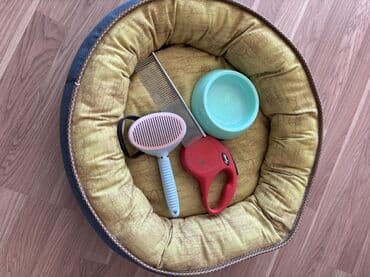 Məhsul: Ev heyvanları üçün aksesuarlar dəsti Tərkib: - Yumşaq lalafo.az -da Məhsul: Ev heyvanları üçün aksesuarlar dəsti Tərkib: - Yumşaq