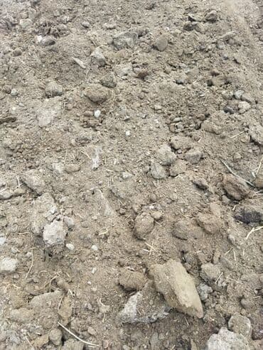 35,40 kamaz peyin var kamazın 55 azından gəlin yığın sparın real alıcı lalafo.az -da 35,40 kamaz peyin var kamazın 55 azından gəlin yığın sparın real alıcı