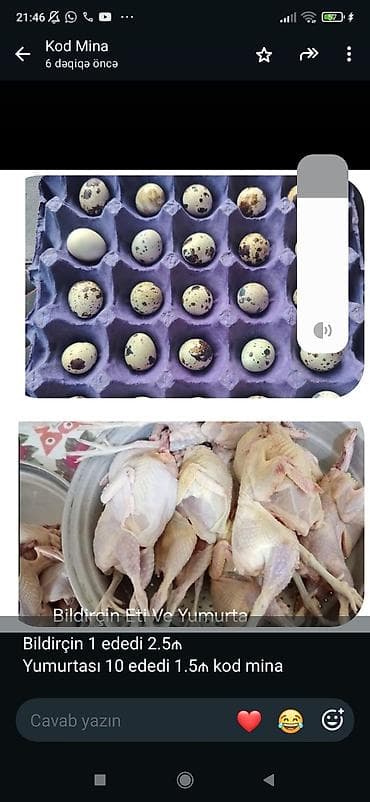 Məhsul: Bildirçin əti və yumurtası Təsvir: - Təmizlənmiş lalafo.az -da Məhsul: Bildirçin əti və yumurtası Təsvir: - Təmizlənmiş