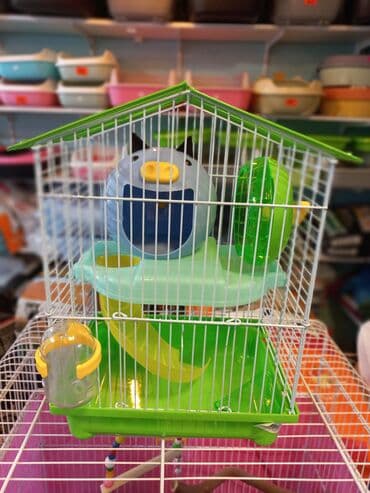 Xamyak üçün tam komplekt qəfəs dəsti 12 manatan başlıyır 25 manata lalafo.az -da Xamyak üçün tam komplekt qəfəs dəsti 12 manatan başlıyır 25 manata