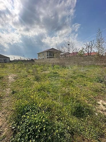 Tikinti lalafo.az -da Tikinti