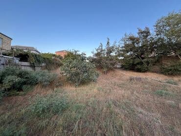 Tikinti lalafo.az -da Tikinti