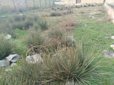 6 sot, Tikinti, Makler, Kupça (Çıxarış) lalafo.az -da 6 sot, Tikinti, Makler, Kupça (Çıxarış)